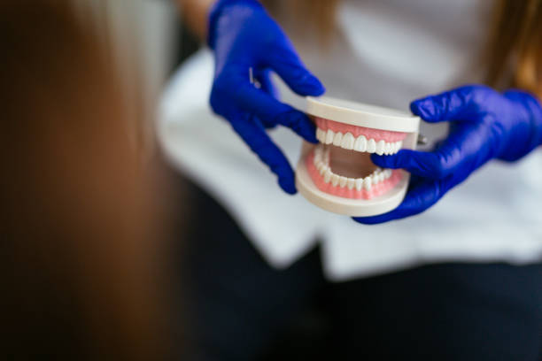Trusted Old Brookville, NY Holistic Dental Care Services Experts